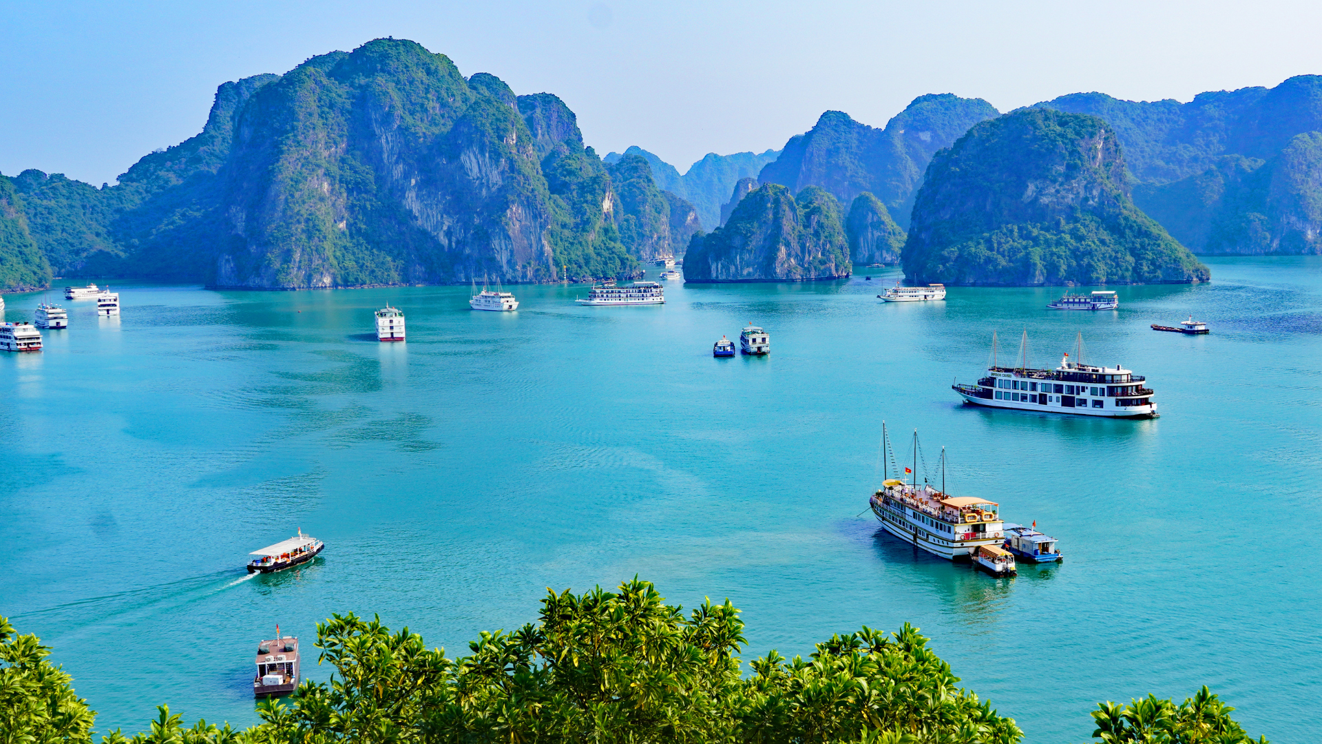 Bản giao hưởng của biển